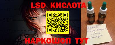 spice Камышлов