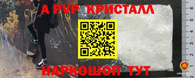 spice Камышлов