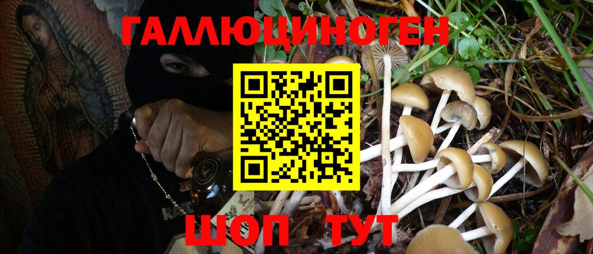 Кувандык  Псилоцибиновые грибы Magic Shrooms  Вход с VPN 